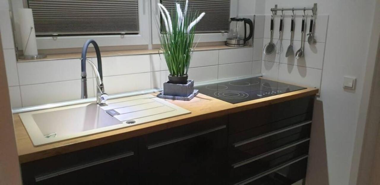 Schicke Ferienwohnung Mit Harzblick Fuer 1-2 Oder 1-4 Personen Гослар Екстер'єр фото